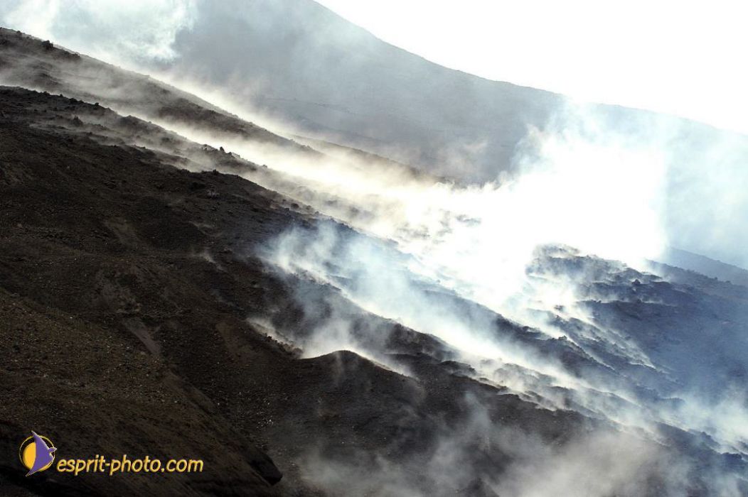 Nom de l'image : EP08-0389_(c)Norbert-JUNG — Description :